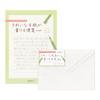 Midori Letter A5 Ruled Stationery for Beautiful Letters Beautiful Addressing Western Style 20589006 Set + Envelopes, 2, (20590006)
