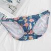 Men's Printed Underwear Triangle Pants Cotton Low Waist Elastic Cross Border Large Size