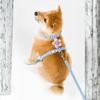 Комплект шлейки и поводка для кошек, непромокаемый, мягкий, регулируемый жилет для котят и щенков, для прогулок на улице, кемпинга