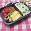 OSK Whole Freezer Lunch Box, Navy (650ml / Set of 2) - Freezer-safe, Microwave-safe, Bento Box for Women and Children