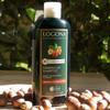 LOGONA Шампунь для защиты цвета Лесной орех 250 мл