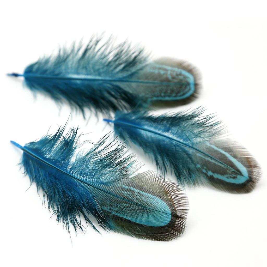 50 шт. 4-8 см редкие драгоценные DIY свадебные вечерние декоративные разноцветные перья фазана натуральные перья для украшения дома