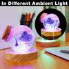 Wooden Led Light Display Base  Glass Resin Art Ornament Wooden Night Lamp