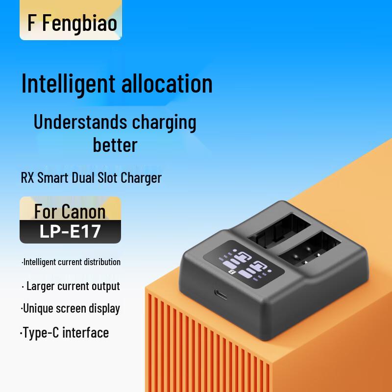 FB LP-E17 Camera Battery & Charger for Canon EOS R/Rebel Series CN plug (adapter included)