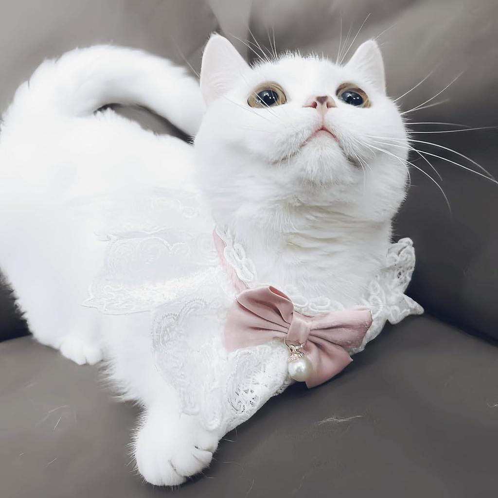 Cute Cat Bow Collar Breakaway Floral Aesthetic Cats Bowtie Collar Bow Tie with Bell for Indoor Cats Kitten and Small Dogs Puppies (Pink, M (7-11lbs))