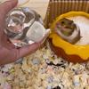 Automatic Pet Water Dispenser Magnetic Rack Hamster Water Bottle Rabbit Water Drinker  Small Animal
