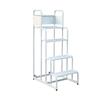 Warehouse Mobile Platform Ladder