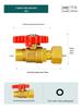Full Copper Water Heater Union Ball Valve, Male/Female Thread, 6 to 4 Points Large Flow for Wall-Hung Boiler