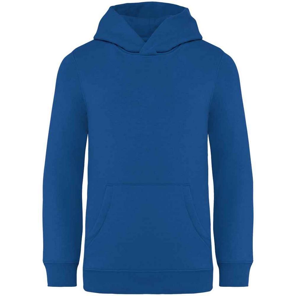 Детская/детская толстовка с капюшоном Native Spirit