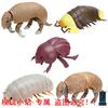 Bandai Genuine Gashapon Toys Biological Simulation Model Pillbug Armadillo Joints Movable Action Figure Ornament Poseable Articulated Scale Detailed