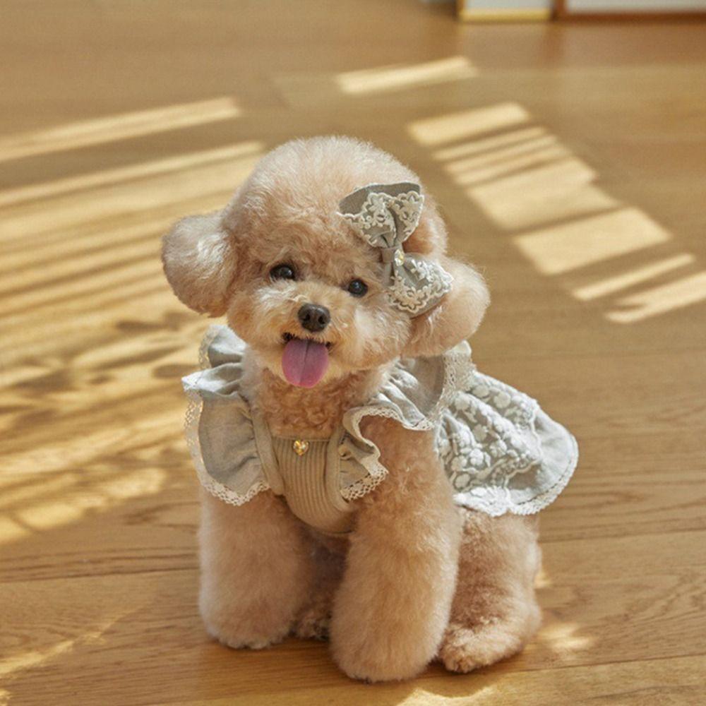 Flying Sleeve Dog Vest Lace Pet Dress Pet Supplies Pet Clothes  Puppy