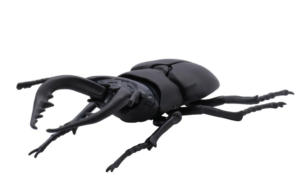 Free Research Series Living Creatures Stag Beetle Plastic Model No.22