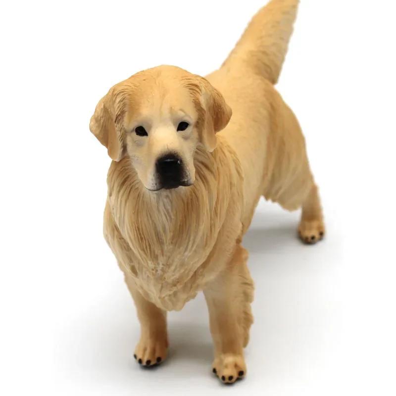 Realistic Golden Retriever Model Large Lifelike Dog Statue Pet Decor Educational Toy Birthday Gift