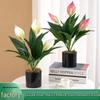 High-End White & Pink Anthurium 3D Printed Green Plant Artificial Flower Desktop Ornament