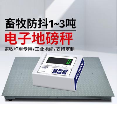 Цифровые платформенные весы Huachao HC Industrial 3 тонны (Китайская версия)