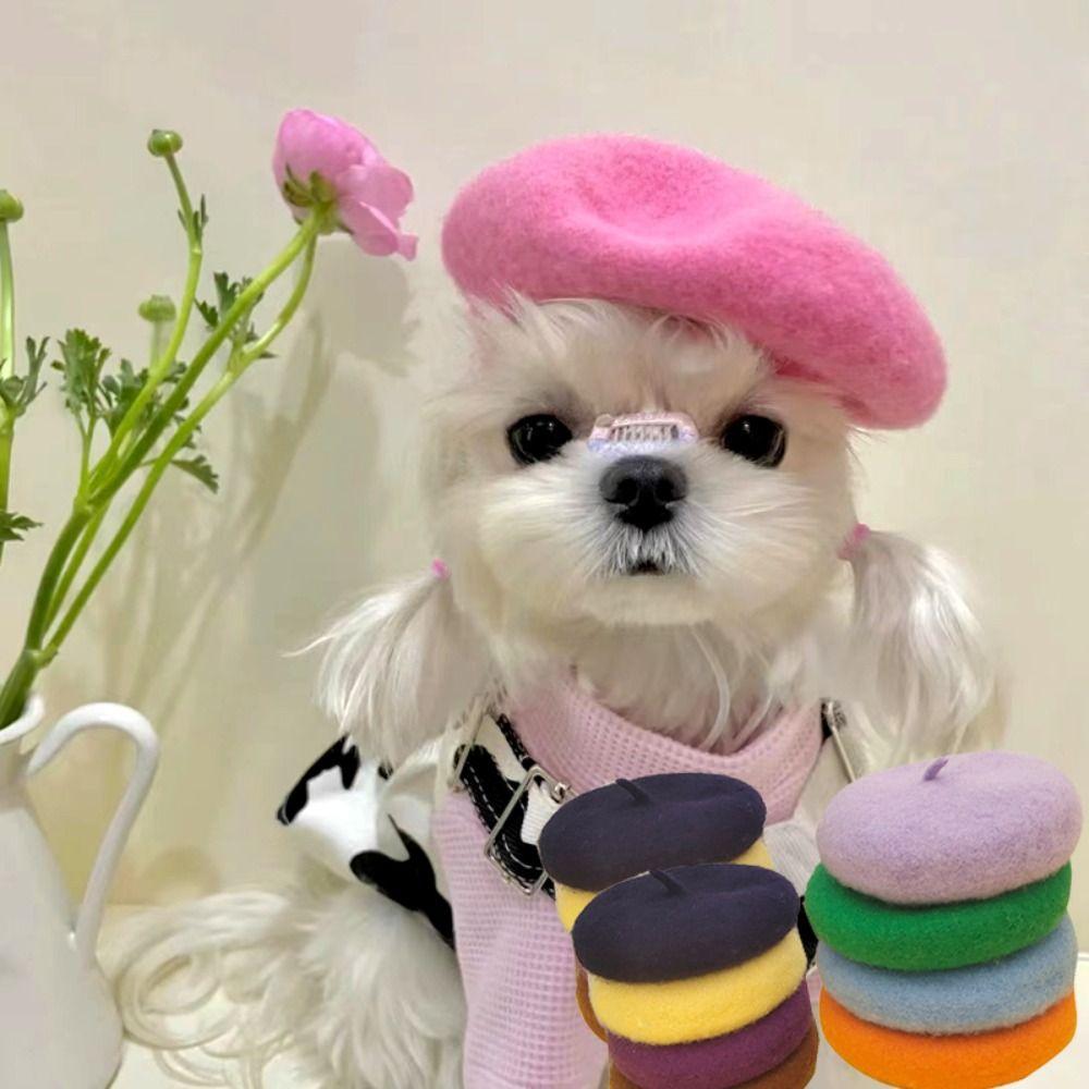1 pcs Mini Solid Color Pet Decor Pet Wool Cap Pet Headwear Dog Beret Cat Hat