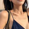 Wave Shaped Chain Earring Metal Accessories Fashion Long Tassel Earrings  Women