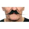 Viving Costumes Viving Costumes 202947 - KVM SWITCH - 202947 Mustache (Unique Size)