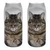 Women 3D Novelty Crazy Funny Cat  Socks Cute Colorful Cartoon Low Cut Socks