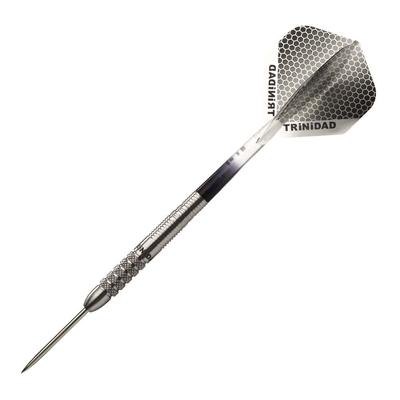 TRiNiDAD PRO Saldivar Steel Eikichi Nakanishi Player Design Модель Trinidad Pro Saldivar Steel Dart Barrel Silver tdd1022