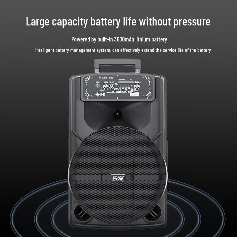 Soli T82 Портативная караоке-колонка высокой мощности