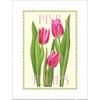 Tall Boy Prints Pink Tulips Paper Print