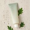 Pure Artemisia Hand Cream 50ml
