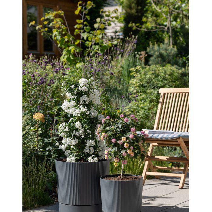 Pot de fleurs avec réserve rond - GARDEN ID - Lino - Ø 47 - 43 L - H 46 cm - Gris pure
