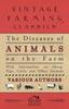 Книга The Diseases Of Animals On The Farm With Information On Sheep Pigs Cattle And by Various - Paperback