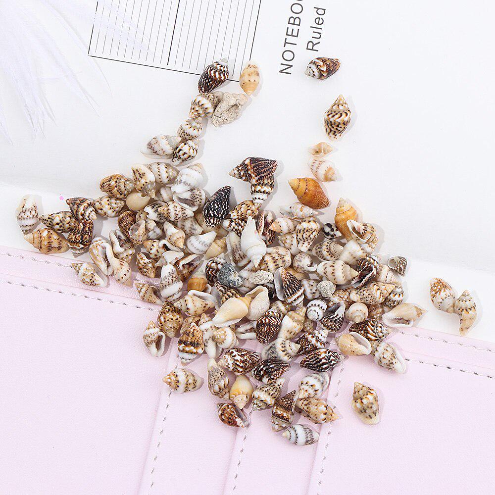 1300-1500Pcs/Box Natural Shell Conch Ornaments Accessories Parts DIY Material Jewelry Components Fish Tank Home Decoration