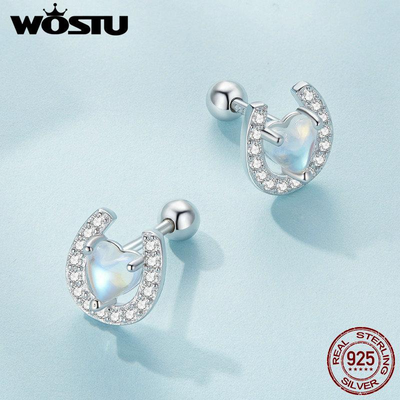 WOSTU Стерлингового серебра 925 пробы в форме сердца, подкова из лунного камня, круглые беруши и серьги для женщин, ювелирные изделия