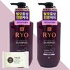 Ryo Jayangyunmo 9EX Hair Loss Symptoms Professional Care Shampoo for Oily Scalp, 400ml X 2, 01 Ryo 9EX Shampoo for Oily Scalp, 400ml X 2