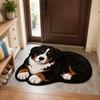 Imitation Cashmere Plush Entryway Door Mat Soft Bedside Carpet Animal Area Rug  Home Decor