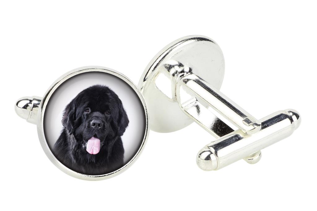 Newfoundland, Newfs, Newfies - cufflinks in a box, handmade jewelry, product of the Art-Dog brand