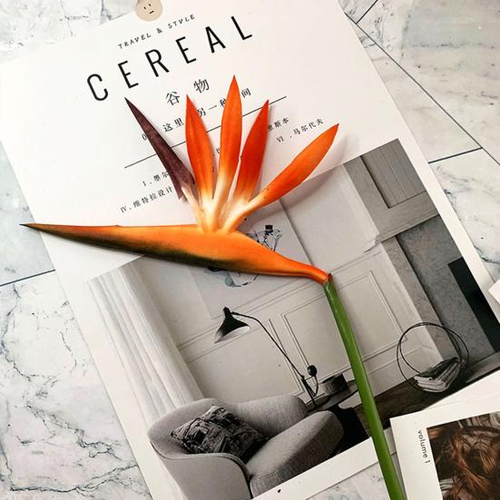 Полезный имитационный цветок прочный экологически чистый декоративный