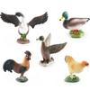 Export Simulation Farm Poultry Chicken Duck Goose Model Children'S Cognition Chicken Duck Goose Decoration Static Desktop Ornament