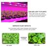 USB LED Full Spectrum Phyto Lamp USB 5V Grow Light Strip 1m 2m 3m 2835 SMD Plants Flowers LED Hydroponic Garden Plants Growing