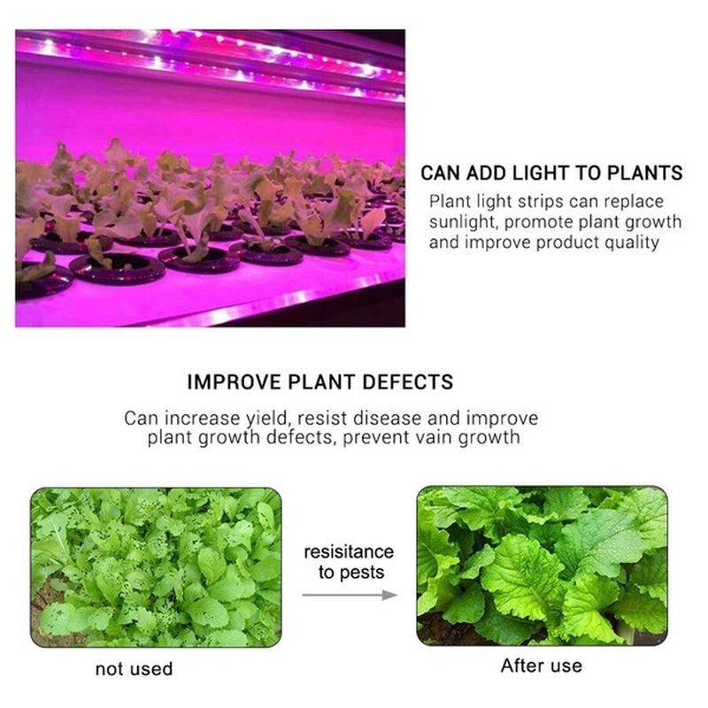 USB LED Full Spectrum Phyto Lamp USB 5V Grow Light Strip 1m 2m 3m 2835 SMD Plants Flowers LED Hydroponic Garden Plants Growing