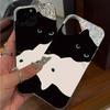 Чехол для iphone 12 15 14 13 17 Pro Air 18 Pro Max XS Max 16 Plus XR 11 Серебряный Глиттер Трескающийся Фон Две Кошки Зеленые Глаза