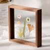 1 Pc 7-Inch Square Double-Sided Glass Picture Frame - Ideal for Displaying Dry Paintings and Leaves.European Style Wooden DIY Photo Frame for Tabletop