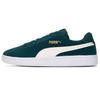 Puma Smash v2 'Varsity Green' Мужские 364989-67