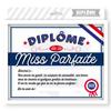 [R1806] - Frame 'Miss Perfect Diploma' Blue White Red - 25x20x1. 5 Cm