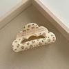 Triangle Flower Acrylic Bow Hair Clip Acrylic Material Hair Claw Shark Clip  Girl Collection