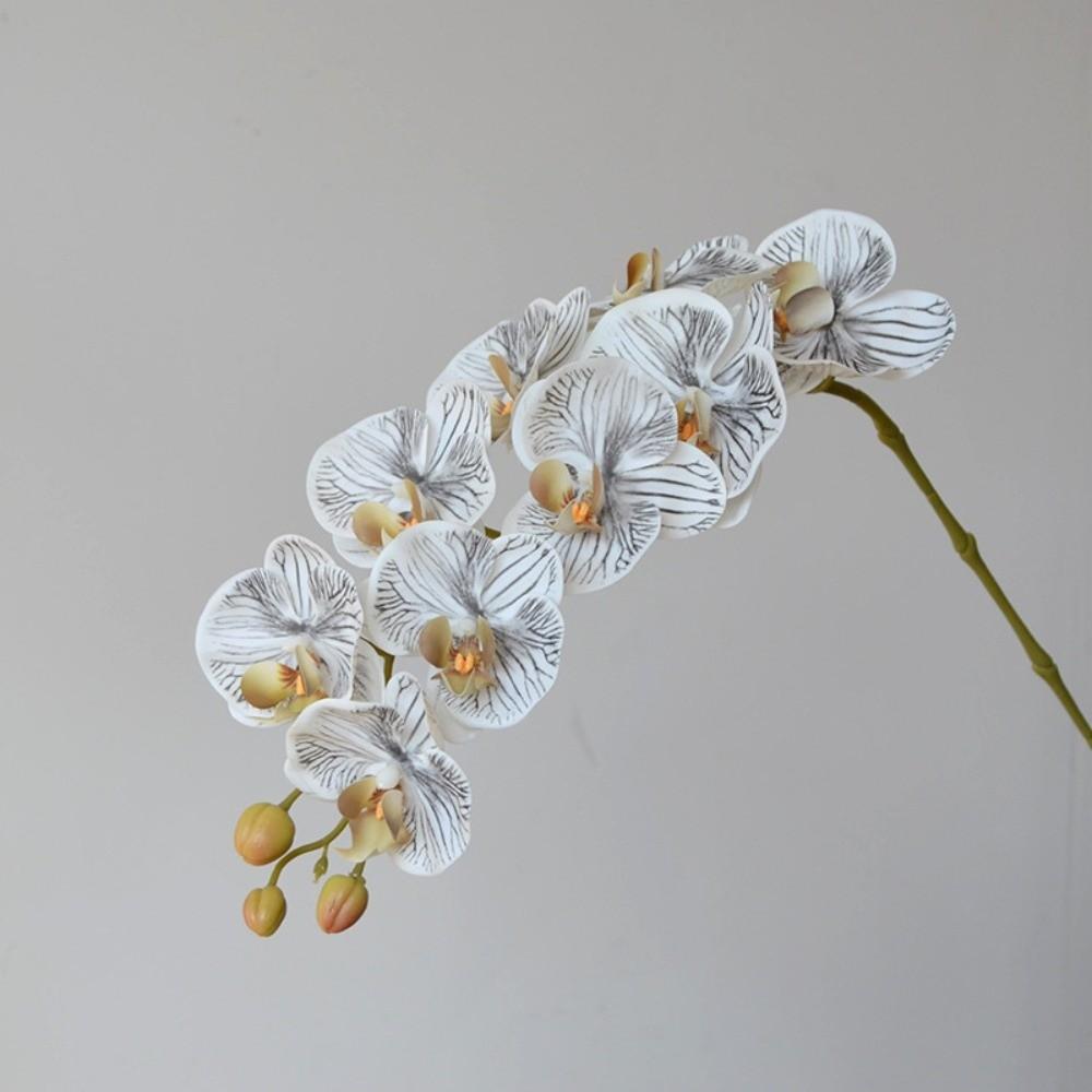 Single Branch Simulation Butterfly Orchid Moth Orchid Plastic Flower Bouquet  Home Decor