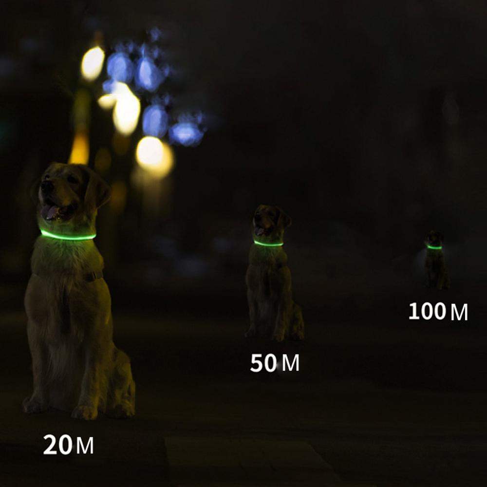 Светодиодный ошейник для собак с перезаряжаемой USB-вспышкой, ожерелье для собак, светильник из ПВХ, ошейник для безопасности домашних животных для большого и среднего размера