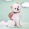 Dog Training Backpack Cute Saddles Bag and Leash for Traveling Travel Camping Camping Dog Saddles Bag Supplies