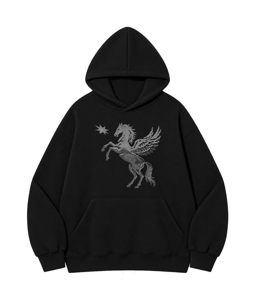 HIRUKA ARCHIVE Pegasus Shadow Hoodie