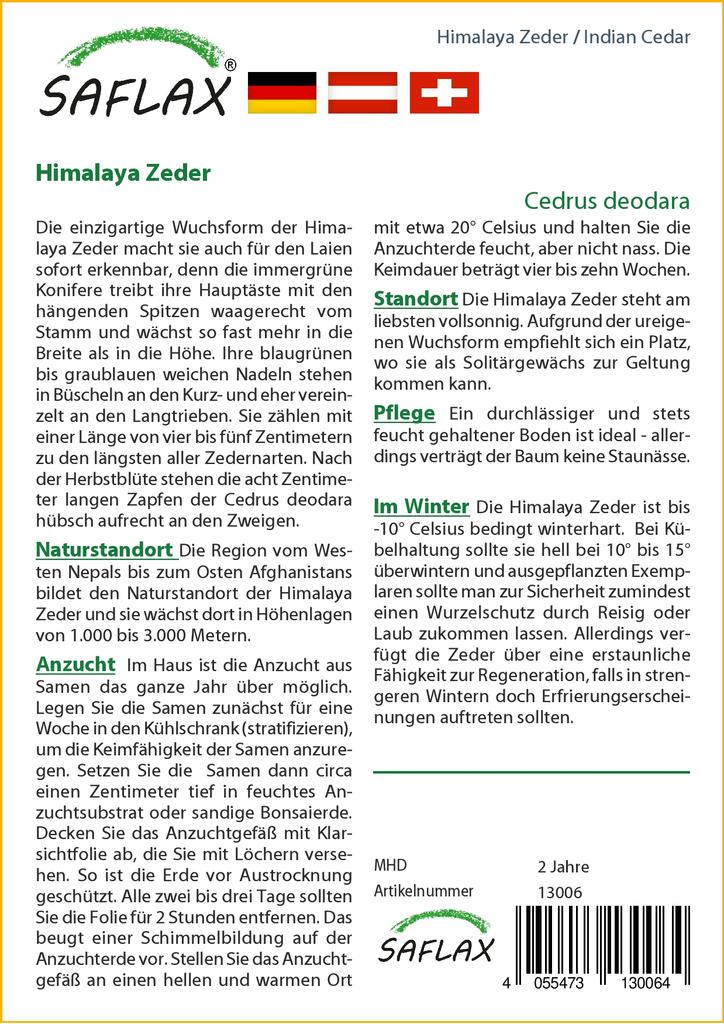 SAFLAX Кедр индийский - 35 семян - Cedrus deodara