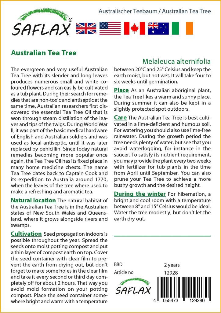 SAFLAX Австралийское чайное дерево - 400 семян - Melaleuca alternifolia