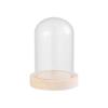 Plants Transparent Bottle Jar Glass Vase Wooden Base Flower Storage Box Glass Cloche Dust Cover